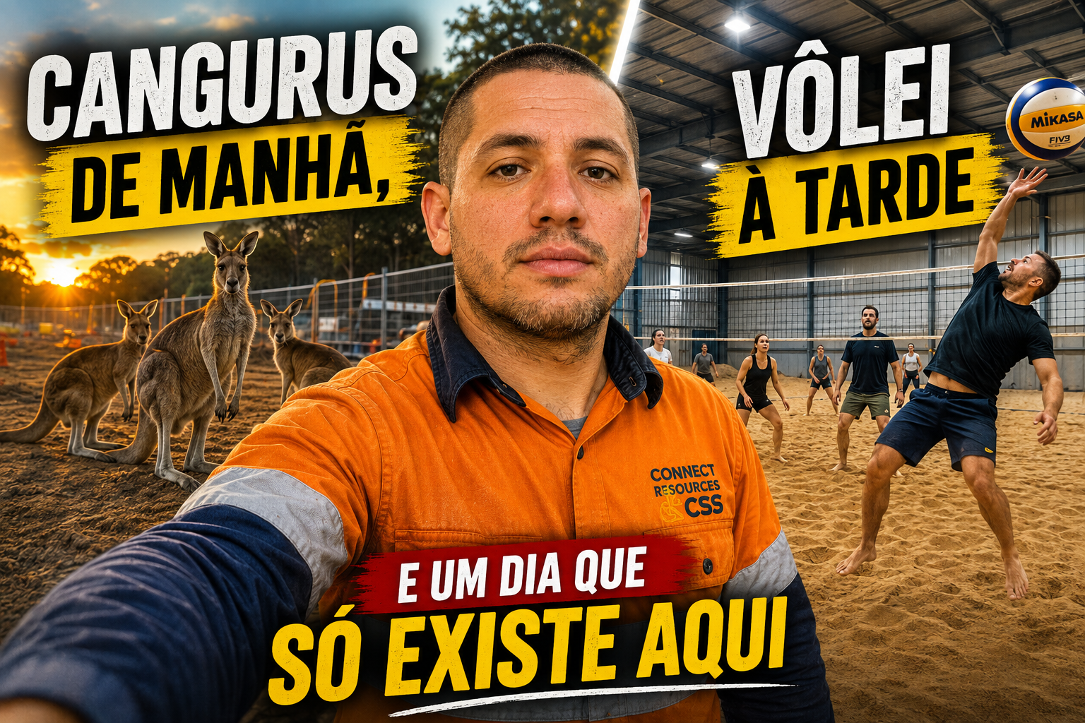 Cangurus de manhã, vôlei à tarde 